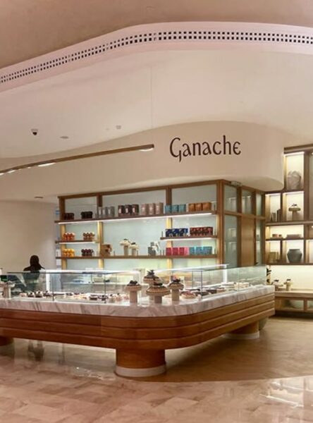 GANACHE-min